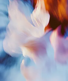 Digital art showcase